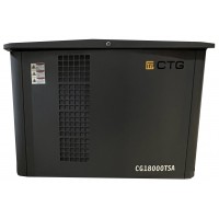 Газовый генератор CTG CG18000TSA