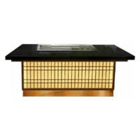 Поверхность жарочная Kocateq GH 20 TEP AIR (тепан)