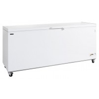 Ларь морозильный TEFCOLD CF700 SL