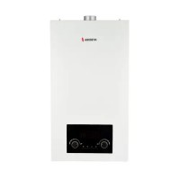 Настенный газовый котел Arideya 13 FF